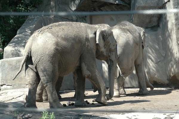 Photos/Zoo/DSC_5913sm.jpg