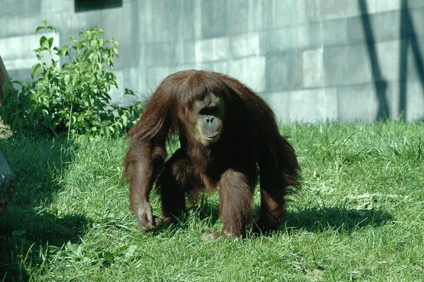 Photos/Zoo/DSC_6056sm.jpg